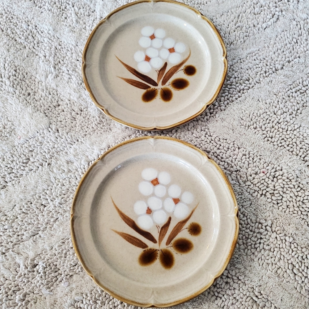 CASTLEWOOD 2 ct Classics Hearthside Stoneware 7 5/8" Salad Dessert Plates Japan